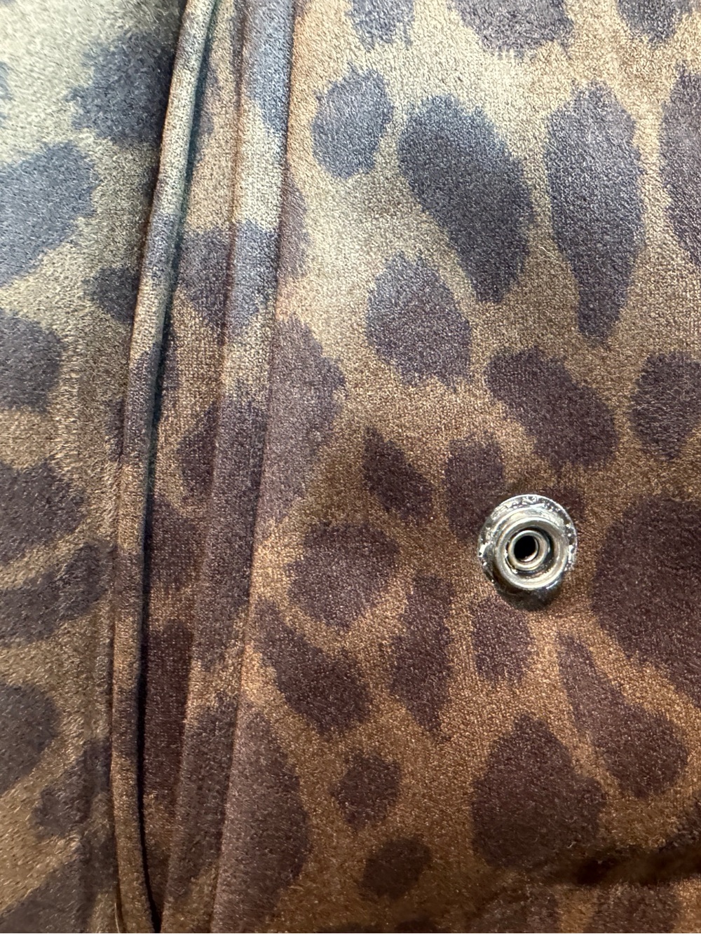 Sanctuary Cheetah Print Moto Jacket - Picture 6 of 8